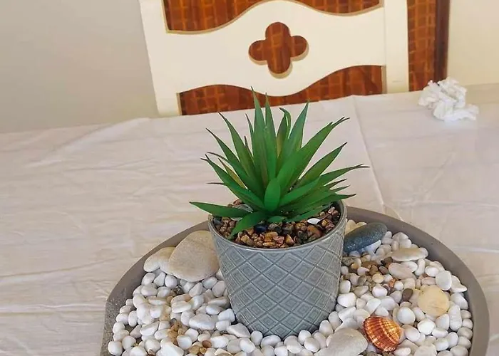 Almyra * Posidhonía