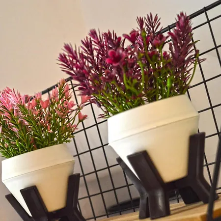 Almyra Posidhonia (Syros)